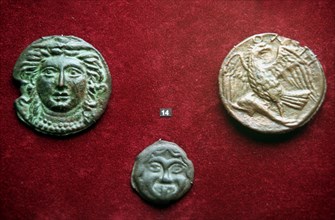Moscow, russia, 02,99, bronze coins of the 4th century b,c, found in the northern regions of the black sea shore are displayed at the exhibition of the greek and roman coins of the vi-iv c, b,c, opene...