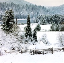 A winter scene in the altai region of russia.