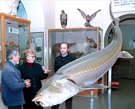 Khabarovsk, russia, january 29 2003: honoured russian artist vitaly drozdov (l) showing to research worker of khabarovsk state local lore museum, olga sysoyeva, a unique model of siberian sturgeon, ma...