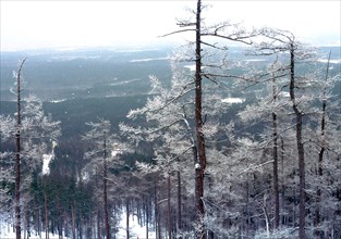 A landscape of the southern urals, russia.