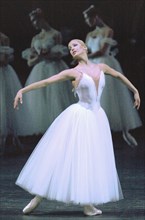 Anastasiya volochkova performing the leading part in 'giselle' ballet at the bolshoi theatre, on saturday, 11/02.