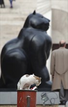Yerevan,armenia, november 27 2002: the 'cat' sculpture made by famous columbian painter fernando botero was set up in downtown yerevan in the park facing the opera theatre,this sculpture started the c...