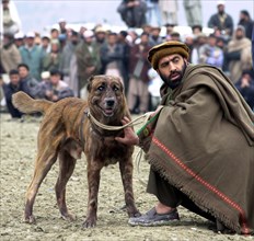 Afghanistan, march 9 2003, an afghani man waiting for a rival for his pet - a paticipant in dog fights that remain one of the chief attractions in kabul, the fights draw thousands of spectators.