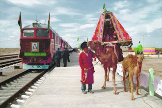 Turkmenia, the picture shows a decorated camel prepared to welcome the turkmen leader at the atamurat railway station in september 1999.
