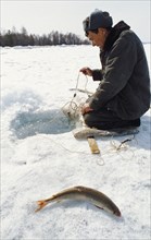A man ice fishing for grayling and omul (salmon family) on lake baikal, irkutsk region of siberia, russia.