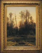 Forest in spring' (1884) painting by i, i, shishkin at the history & arts museum in serpukhov, moscow region, russia.