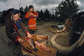 Mother with her daughter gutting a fish for lunch at a khanty nomadic camp in the tyumen region of siberia, march 1997.