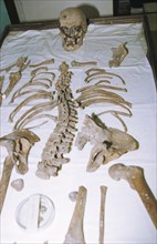 The skeletal remains of tsar nicholas ll in storage at the bureau for forensic examination, yekaterinburg, russia, 1997.