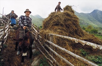 A farmer riding a donkey on his farm in kabardino-balkaria in the trans-caucasus region of russia, 1999.