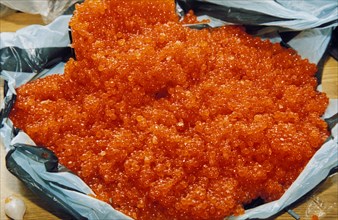 Home-processed caviar from poached fish stock, south kurils, sakhalin region, russia.