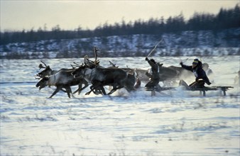 Yakut reindeer breeders during a reindeer race in yakutia, siberia, russia, 1990s.