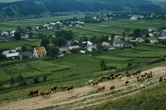 The 'iowa' farm in the lonovtsy district of the ternopol region, ukraine, 1989.