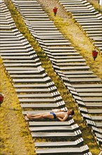 A lone man sunbathing at a resort in sochi in the krasnodar region of russia where the number of vacationers dropped 44% from the previous year due to the sharp increase in prices, july 1992.