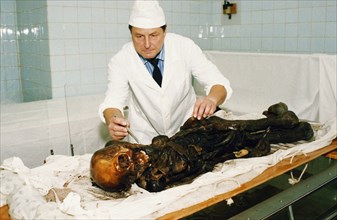A scientist examining a 2,500 year old tattooed female mummy of a scythian princess (known as 'black beauty') found frozen in the permafrost of the ukok plateau, pasryk region, siberia, russia, 1994.