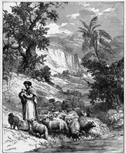 Religion The Holy Bible. Herdman with his flock( Psalm XXII)