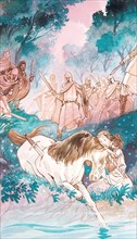 Creative illustration serial Magic. The Lady and the Unicorn