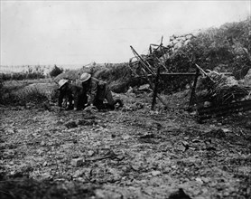 Bringing in wounded at Beaumont Hamel.