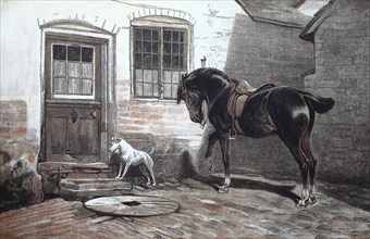 Dog And Horse Getting Impatient For The People