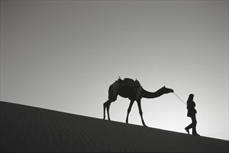 Camel and man , Jaisalmer, Rajasthan, India