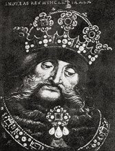 Andrew III of Hungary aka Andrew III the Venetian