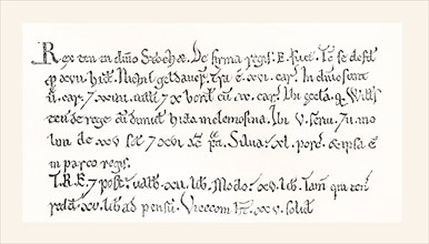 Facsimile of a specimen from the Domesday Book