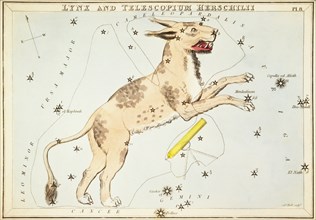 Lynx and Telescopium Herschilii