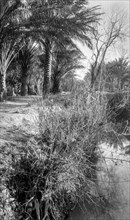 WW1 photographs in Iraq