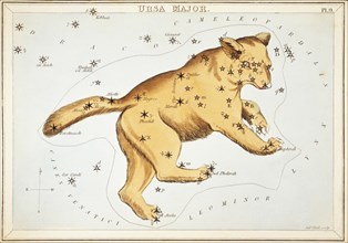 Ursa Major. Card Number 9 from Urania's Mirror