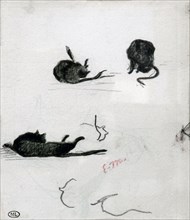 Sketch of three cats