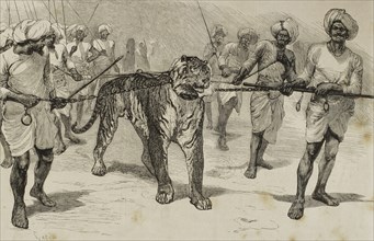 Journey of the Prince of Wales (1841-1910) to India