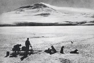 Dog sledge, showing Mount Erebus in the background,,