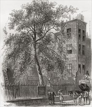 The Plane Tree, Wood Street, London,