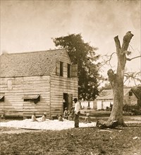 African Americans preparing cotton for the gin on Smith's plantation