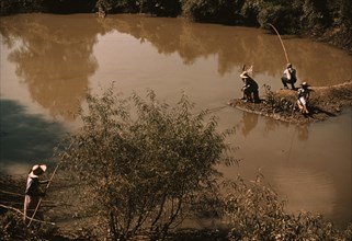 Negroes fishing in creek near cotton plantations outside Belzoni, Miss.