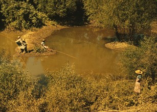 Negroes fishing in creek near cotton plantations outside Belzoni, Miss.