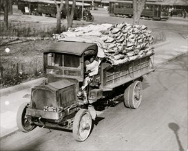 Truck load of beef being delivered to Central Market, Washington, D.C.; black driver