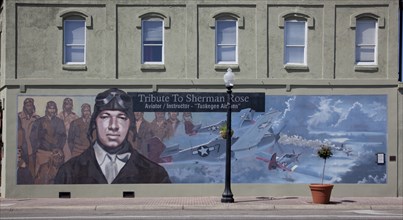 Sherman Rose Mural, Tuskegee Airman