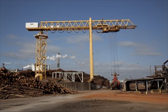 Crane Hoist Logs at Pulp Factory