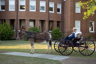 Farmer sits on donkey cart outside Courthouse
