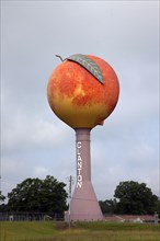 Peach Water Tower