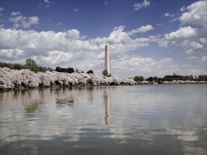 Washington Monument & Tidal Basin