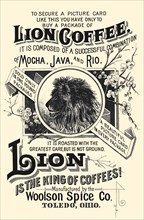Lion is the King of Coffees!