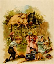 Pigs look over fence at children scooping earth in to a lard bucket
