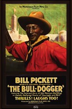 The Bull - Dogger