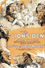 Jungle Mystery - The Lion's Den