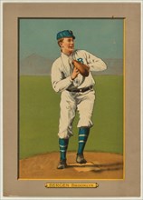 Bill Bergen, Brooklyn Dodgers