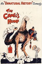 The Camel's Hump