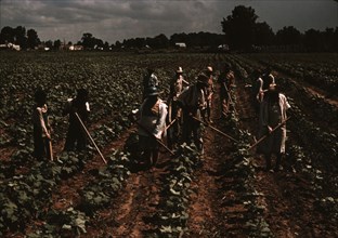 Bayou Bourbeau plantation operated by Bayou Bourbeau Farmstead Association, a cooperative established through the cooperation of FSA, Natchitoches, La.