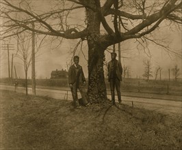 Two African American men standing next to a tree in Georgia