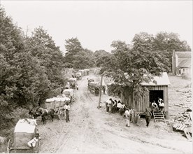 African Americans around small building and wagons loaded with cotton